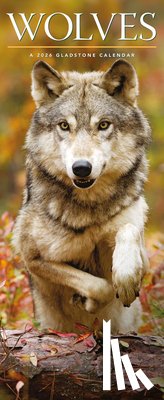 Gladstone - Wolves Deluxe Slim Sunday Start Calendar