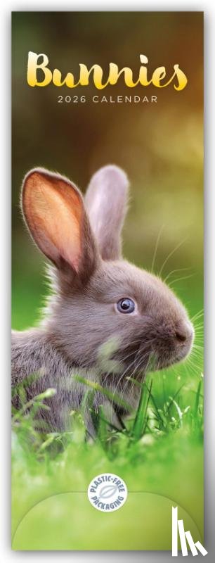 Carousel Calendar - Bunnies Slim Calendar 2026