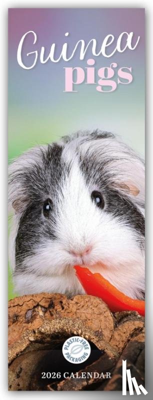 Carousel Calendar - Guinea Pigs Slim Calendar 2026