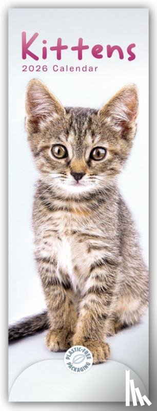 Carousel Calendar - Kittens Slim Calendar 2026