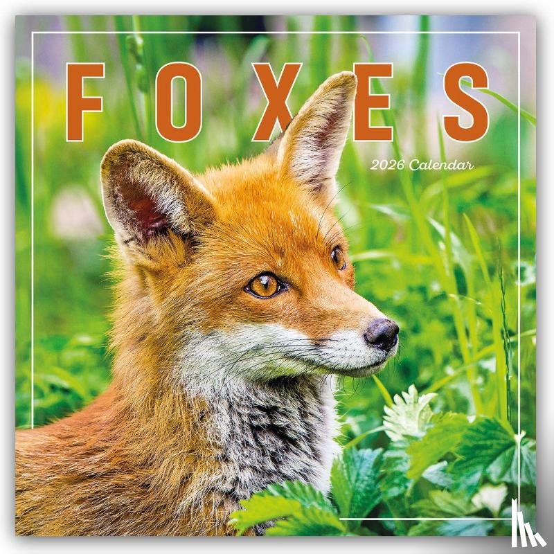 Carousel Calendar - Foxes Square Wall Calendar 2026