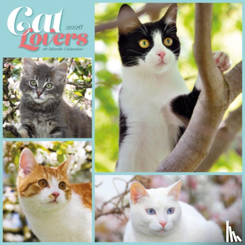 Carousel Worldwide - Cat Lovers Square Wall Sunday Start Cale