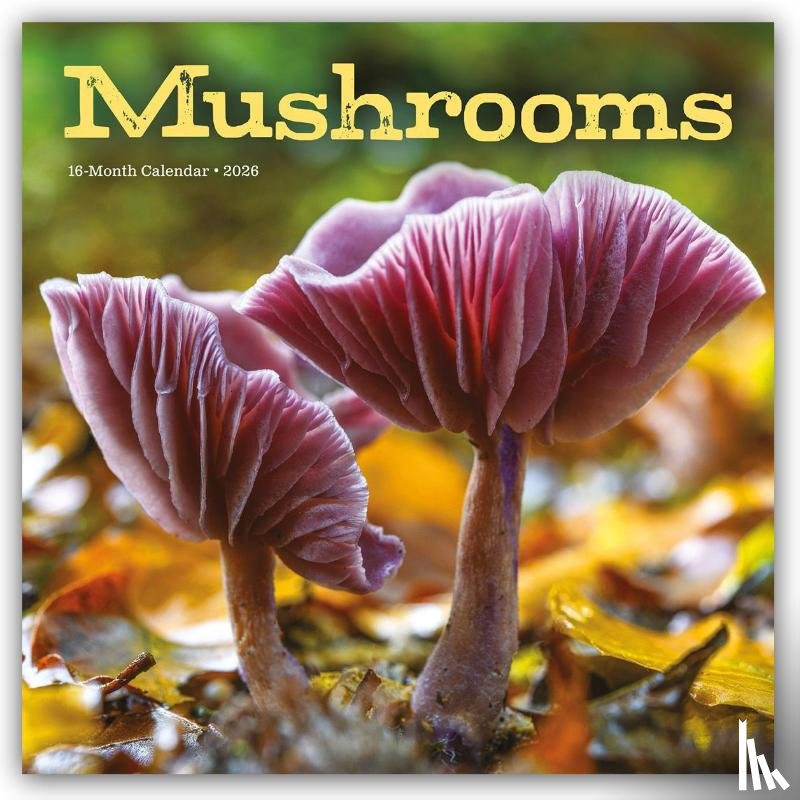 Carousel Calendar - Mushrooms Square Wall Sunday Start Calen