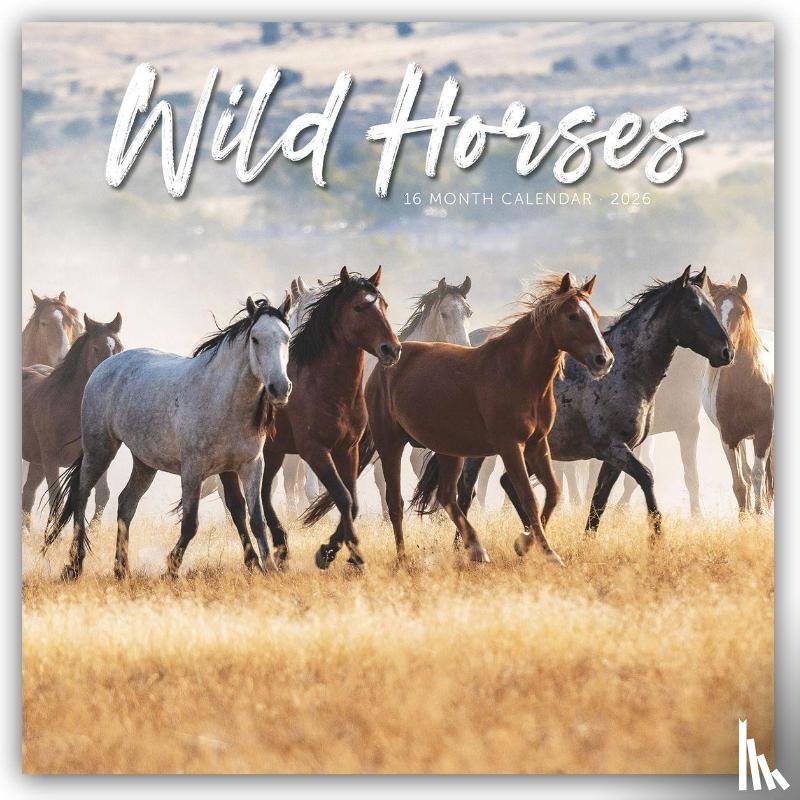 Carousel Calendar - Wild Horses Square Wall Sunday Start Cal