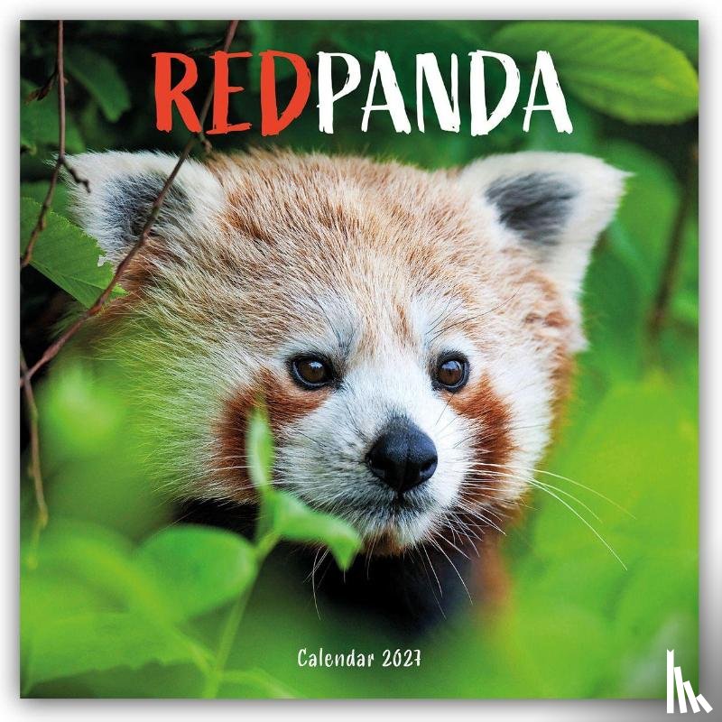 Carousel Calendar - Red Pandas (PFP) W
