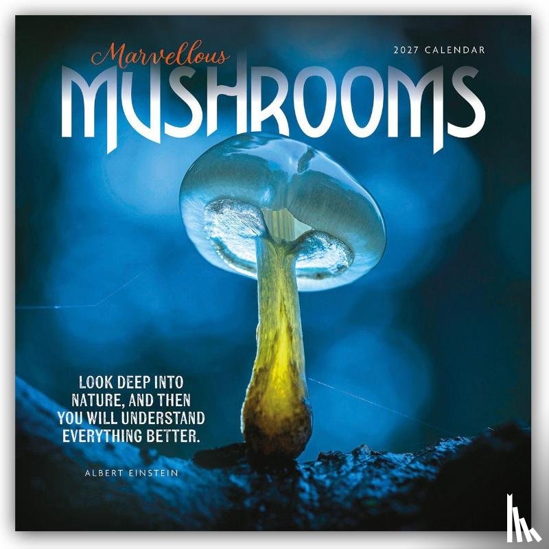 Carousel Calendar - Marvellous Mushrooms W