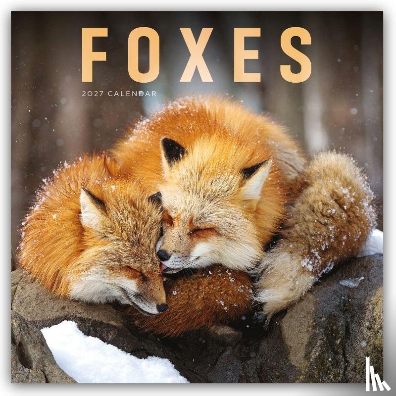 Carousel Calendar - Foxes (PFP) W