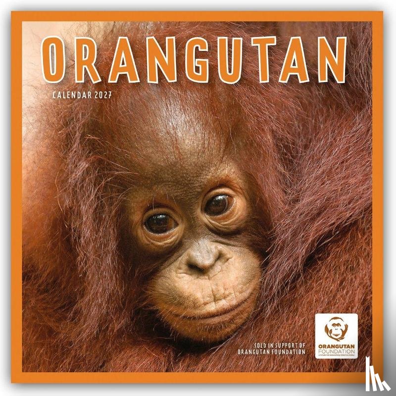 Carousel Calendar - Orangutan (PFP) W