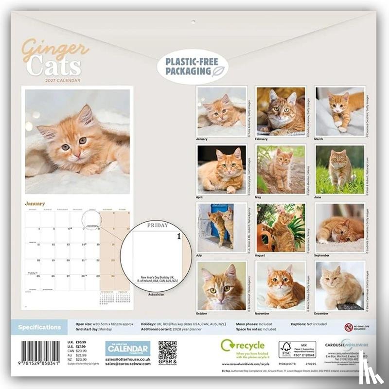Carousel Calendar - Ginger Cats (PFP) W