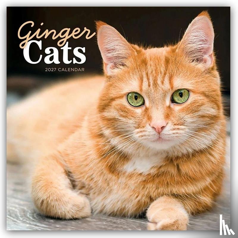 Carousel Calendar - Ginger Cats (PFP) W