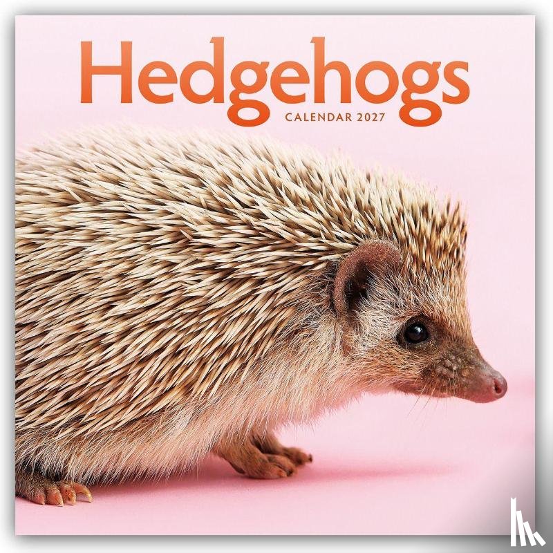Carousel Calendar - Hedgehogs (PFP) W