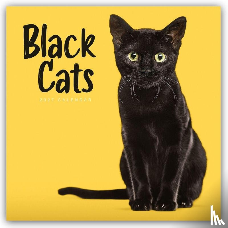 Carousel Calendar - Black Cats (PFP) W