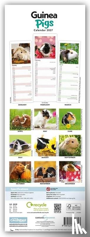 Carousel Calendar - Guinea Pigs (PFP)Slim