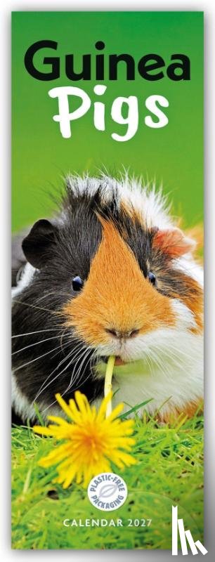 Carousel Calendar - Guinea Pigs (PFP)Slim