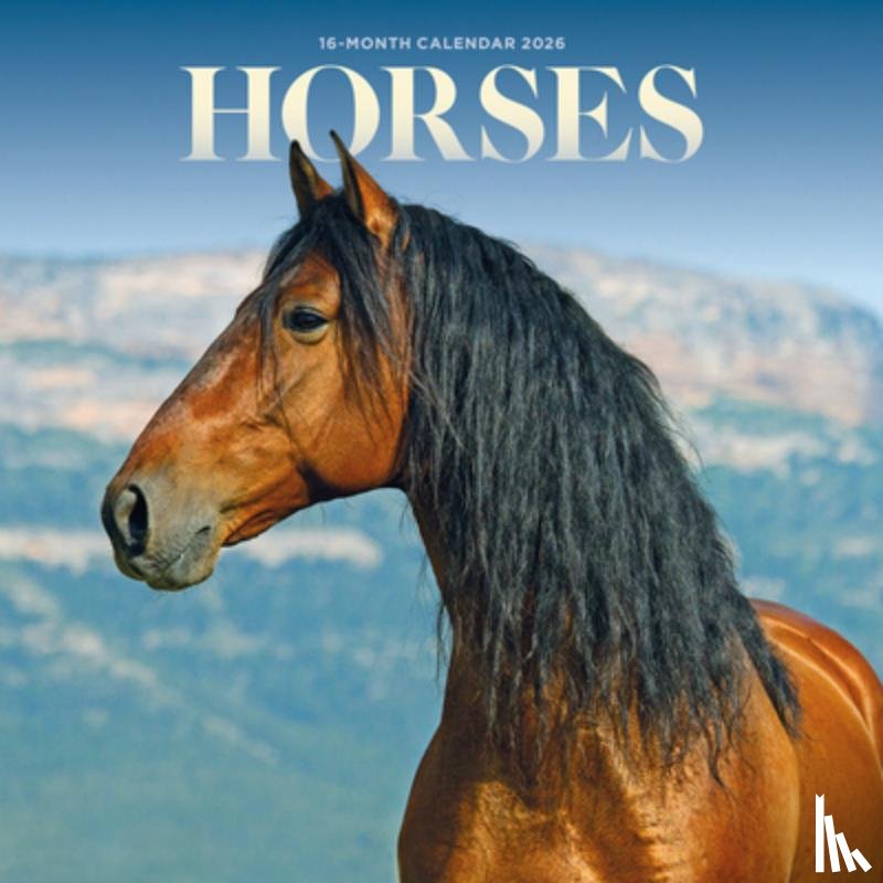 Carousel Calendars - Horses Square Mini Sunday Start Calendar