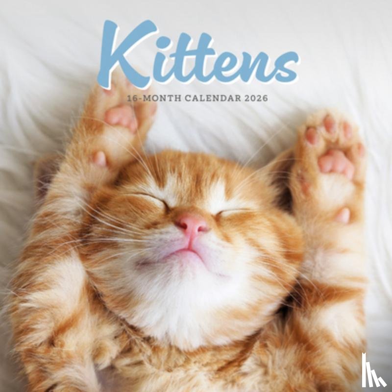 Carousel Worldwide - Kittens Square Mini Sunday Start Calenda