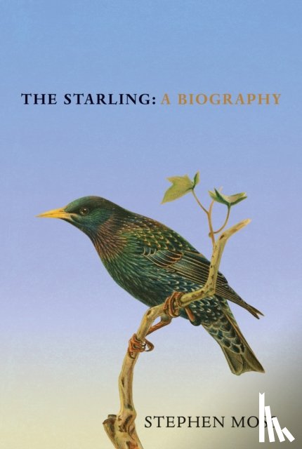 Moss, Stephen - The Starling
