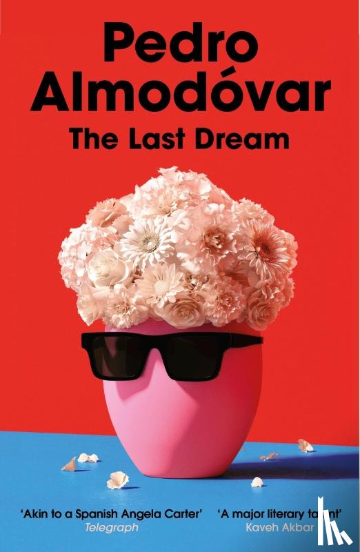 Almodovar, Pedro - The Last Dream