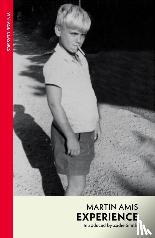 Amis, Martin - Experience