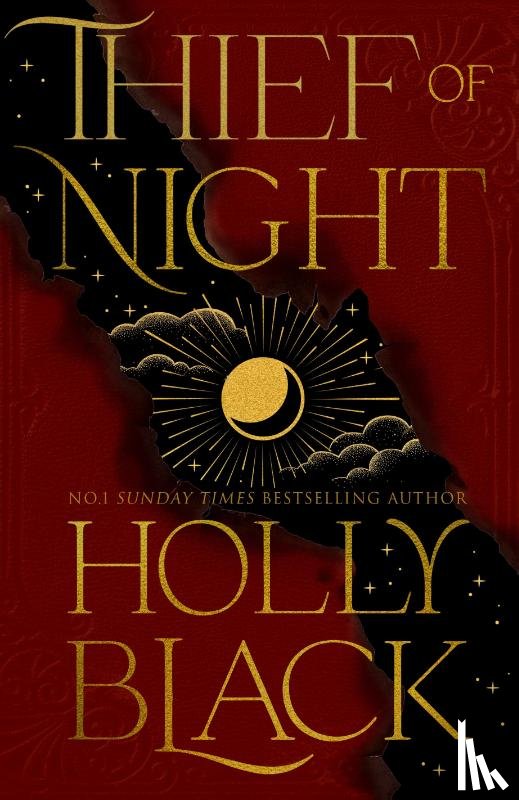 Black, Holly - Thief of Night