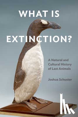 Schuster, Joshua - What Is Extinction?