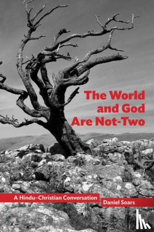 Soars, Daniel - The World and God Are not-Two