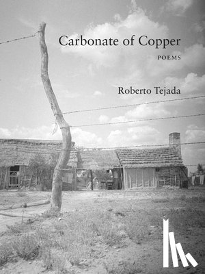 Tejada, Roberto - Carbonate of Copper