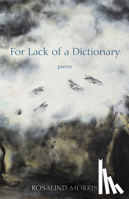 Morris, Rosalind - For Lack of a Dictionary