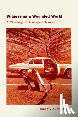 Middleton, Timothy - Witnessing a Wounded World