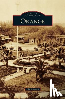 Brigandi, Phil - Orange