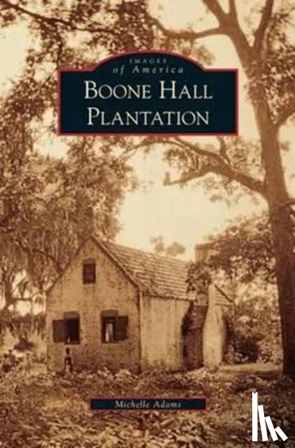 Adams, Michelle - Boone Hall Plantation
