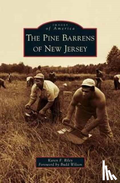 Riley, Karen F - Pine Barrens of New Jersey