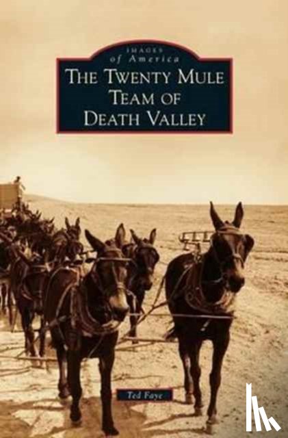 Faye, Ted - Twenty Mule Team of Death Valley
