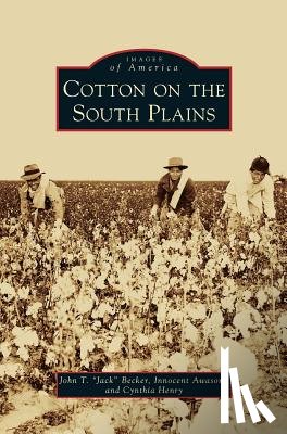 Becker, John T, Awasom, Innocent, Henry, Cynthia - Cotton on the South Plains
