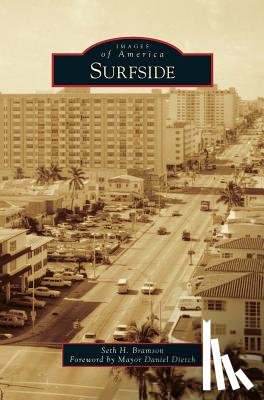 Bramson, Seth H - Surfside