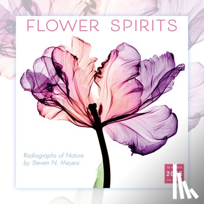 Meyers, Steven N. - 2026 Flower Spirits -- Radiographs of Nature by Steven N. Meyers Wall Calendar