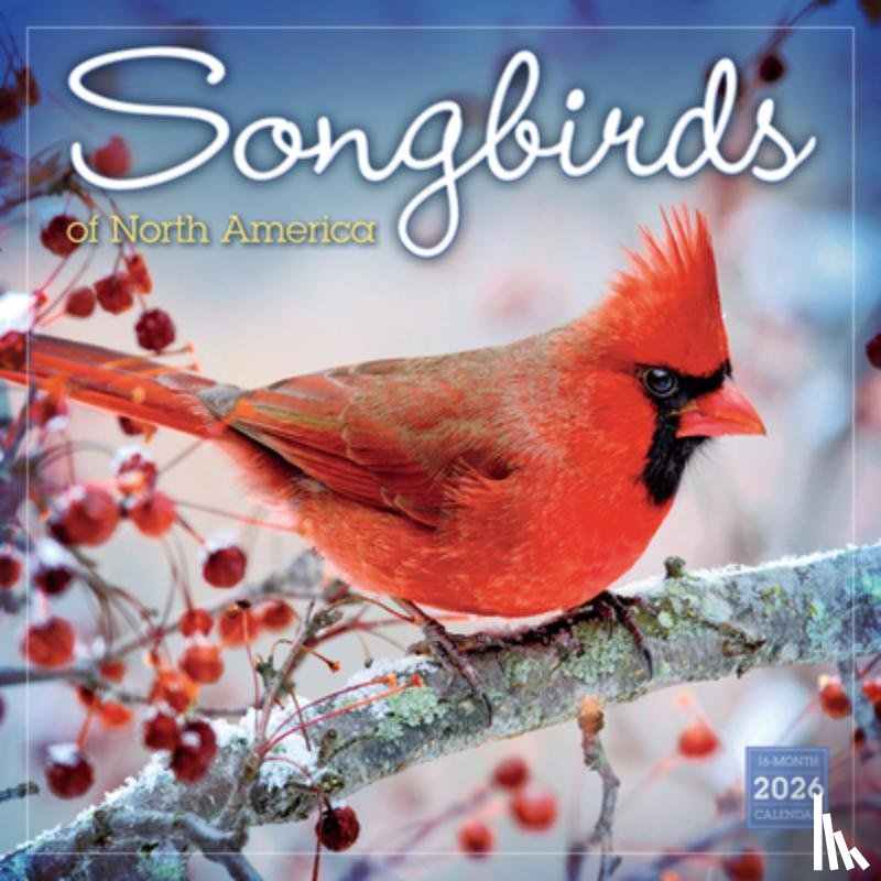 Maslowski, Steve And Dave - 2026 Songbirds of North America Wall Calendar