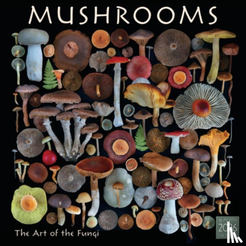 Schmid, Moritz - 2026 Mushrooms: The Art of the Fungi Wall Calendar