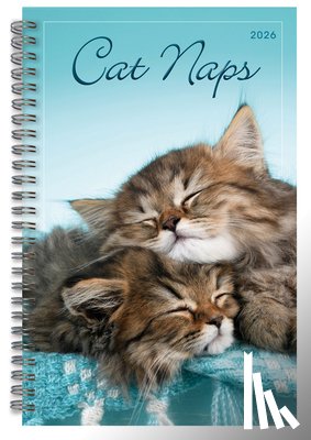 Sellers Publishing, Inc - 2026 Cat Naps Classic Engagement Planner