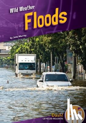 Murray, Julie - Floods