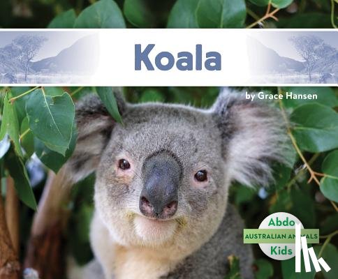 Hansen, Grace - Koala