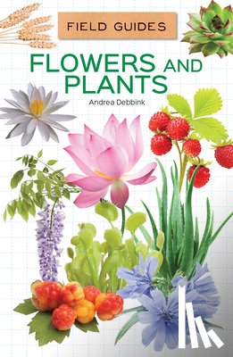 Debbink, Andrea - Flowers and Plants