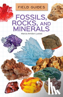 Lusted, Marcia Amidon - Fossils, Rocks, and Minerals
