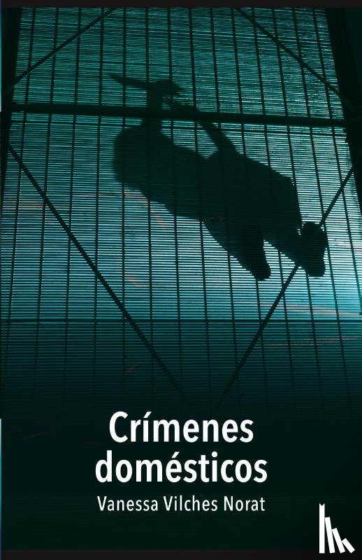 Vilches Norat, Vanessa - Crímenes domésticos