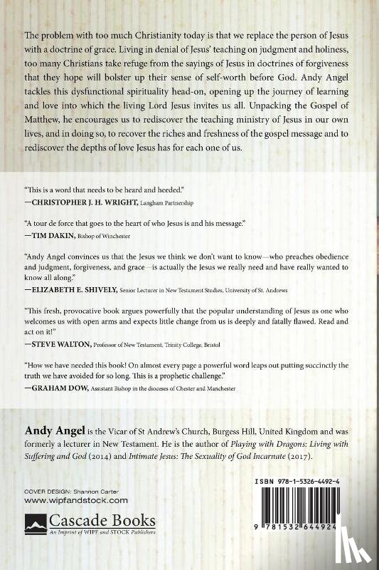 Angel, Andy - The Jesus You Really Didn't Know