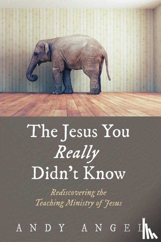Angel, Andy - The Jesus You Really Didn't Know