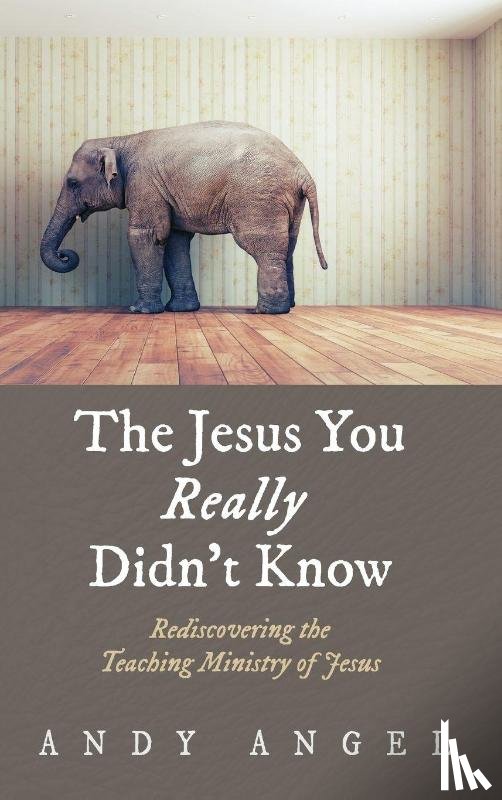 Angel, Andy - The Jesus You Really Didn't Know