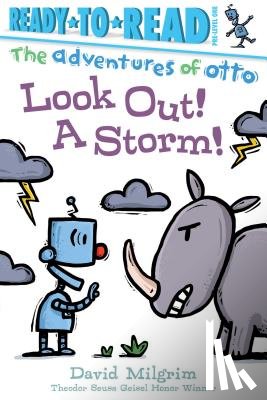Milgrim, David - LOOK OUT A STORM