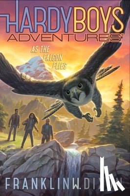 Dixon, Franklin W. - As the Falcon Flies