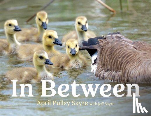 Sayre, April Pulley - In Between